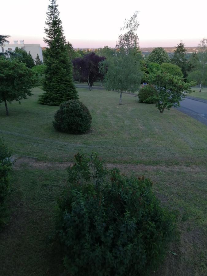 Appartement Pres De Beauval Et Des Chateaux 蒙特里夏尔 外观 照片